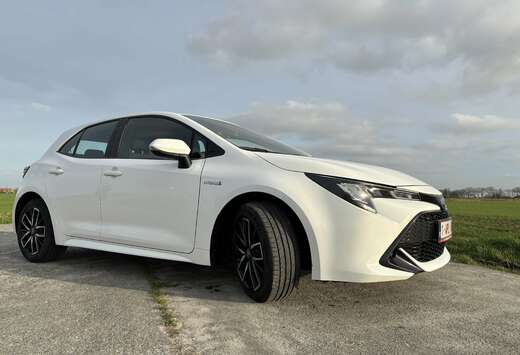 Toyota 1.8 Hybrid Business Edition