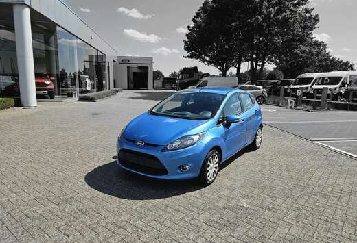 Ford Enkel voor professionele verkoop.
