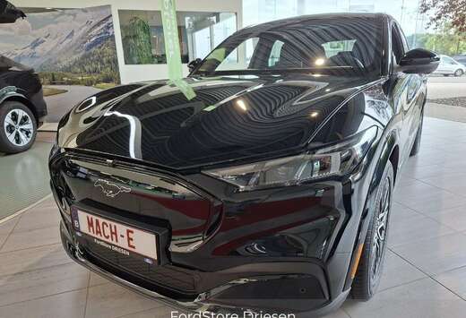 Ford 91 kWh Premium RWD