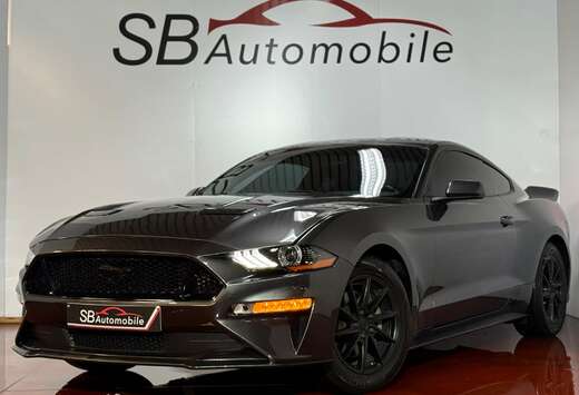 Ford 2.3 EcoBoost// CAMERA // GARANTIE //