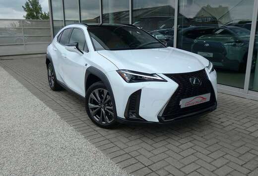 Lexus HYBRID F-Sport Design +COGNAC LEDER +Dodehoek + ...