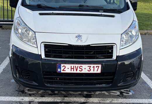Peugeot HDI 110 lang verglast