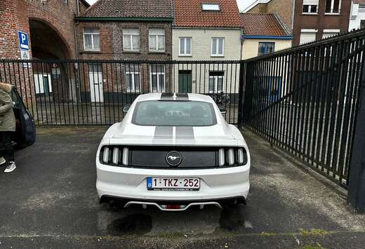 Ford 2.3 Eco Boost Aut.