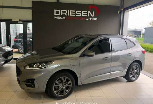 Ford ST-Line PHEV AUT  BIJ DRIESEN BREE   089/461610