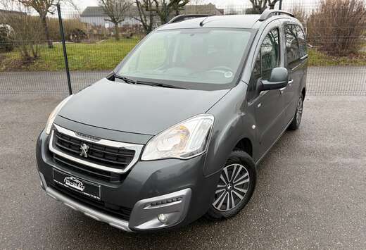 Peugeot Partner Tepee 1.6 BlueHDi Active S