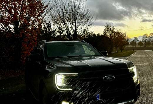 Ford 2.0 EcoBlue e-4WD Wildtrak