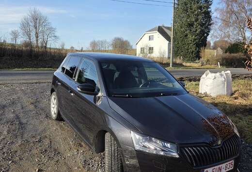 Skoda Fabia 1.0 TSI Monte Carlo (EU6AP)