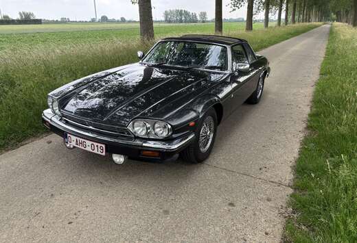 Jaguar Targa , Manueel