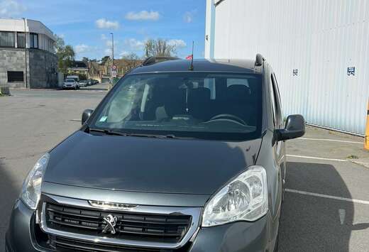 Peugeot 1.6 BlueHDi L1H1 Premium Pack 120 CU+/VN