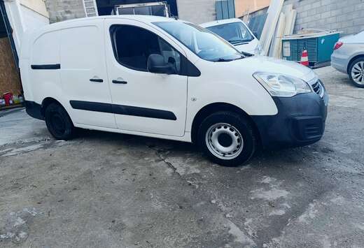 Peugeot 1.6 BlueHDi L2H1 Premium Pack 121 S/S