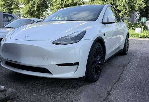 Tesla Performance (377 kW)
