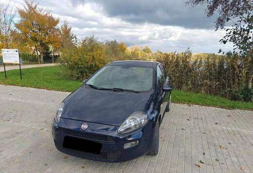 Fiat Punto 1.2i 8v Young