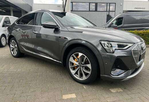 Audi 95 kWh 55 Sportrback Quattro S line Pano/Led/Cam ...