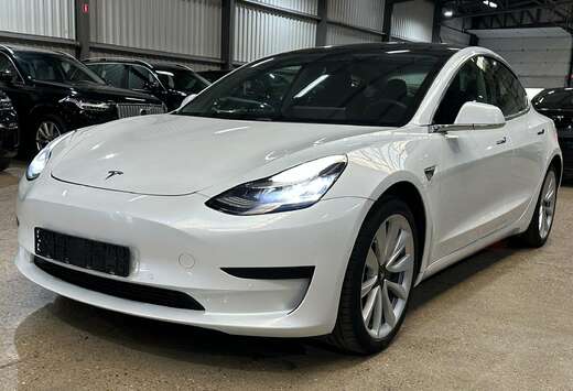Tesla Model 3 Standard Reichweite Plus Hinterradantri ...