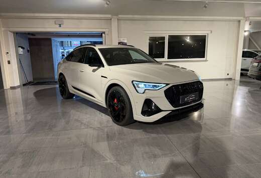 Audi QUATTRO 313PK * 3x S-LINE * KLEUR EXCLUSIVE * CA ...