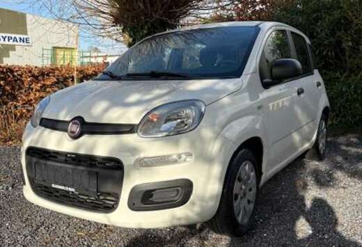 Fiat Panda 1.2i Easy