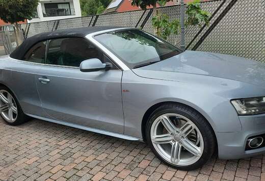 Audi A5+Cabrio+2.7+TDI+DPF+multitronic