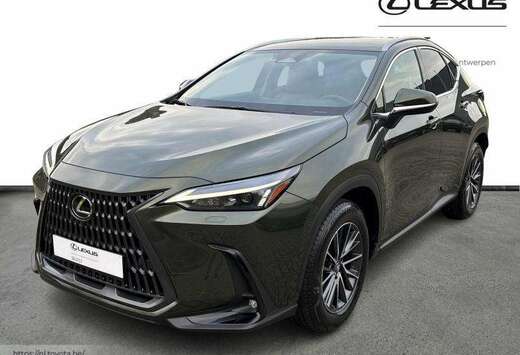 Lexus Executive Line + HUD