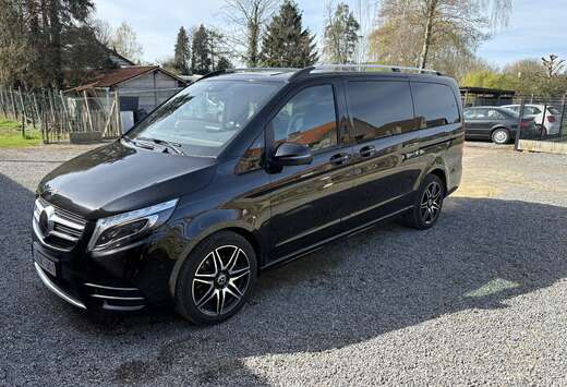 Mercedes-Benz d 4-Matic MWB