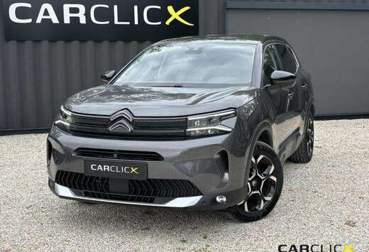 Citroen Max Hybride 136 DCS6