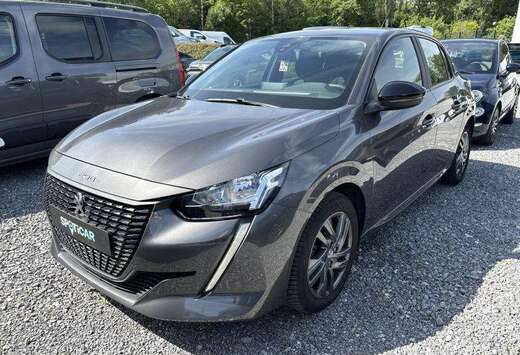 Peugeot Active Pack