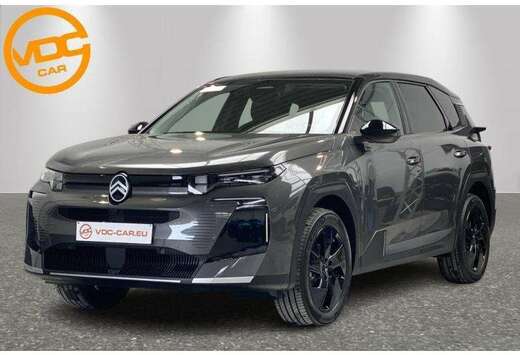 Citroen Max