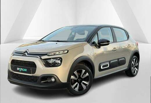 Citroen Max