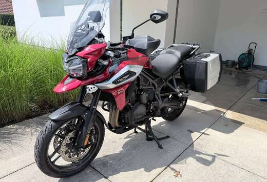 Triumph XRT