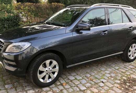 Mercedes-Benz BlueTec 4Matic EUR6 / LEDER / SPOORASSI ...