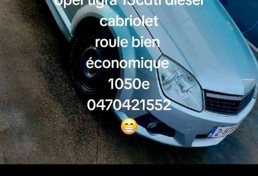 Opel Twintop 1.3 DT CDTi 16v Enjoy