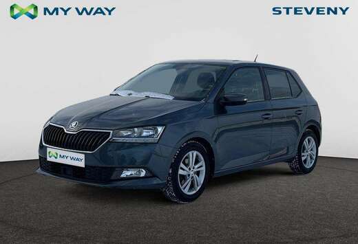 Skoda Ambition 1,0 TSI 70 kW 5-speed mech.