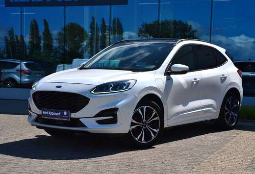 Ford ST-Line X PHEV *Full Option*