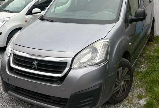 Peugeot Tepee Outdoor 1.6 HDi FAP