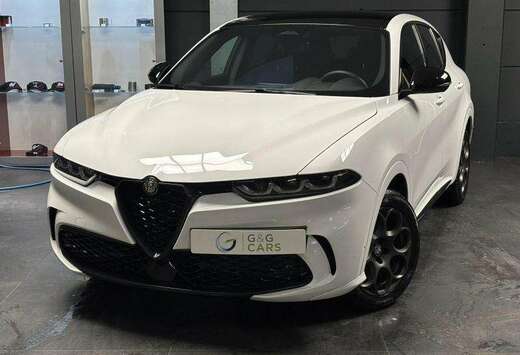 Alfa Romeo TRIBUTO ITALIANO