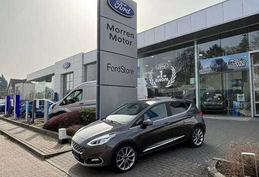 Ford VIGNALE 1.0Ecoboost MHEV 125PK AUT OC3450 *40017 ...
