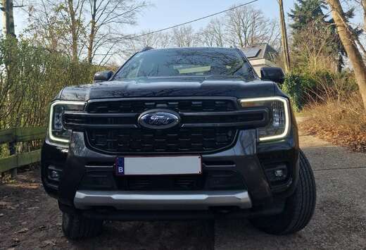 Ford 2.0 EcoBlue e-4WD Wildtrak