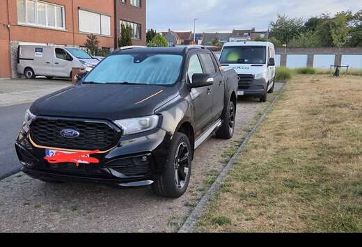 Ford 2.0 BiT EcoBlue Wildtrak (EU6.2)