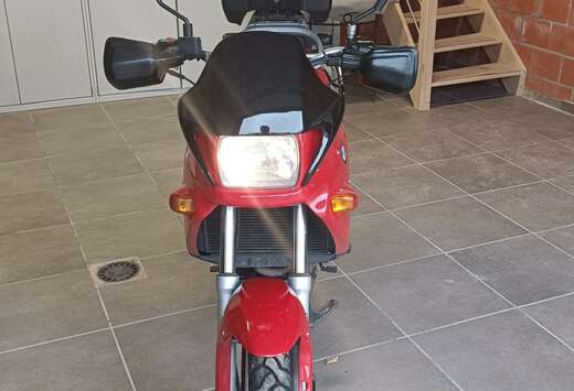 BMW Fundoro