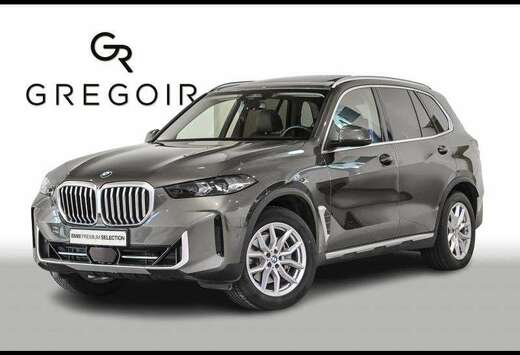 BMW xDrive40iPanoComfortH&KCamDass