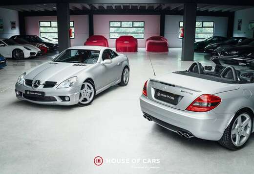 Mercedes-Benz (R171) Roadster - 1st paint - MB Histor ...