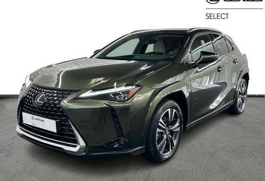 Lexus Privilege Line 2WD