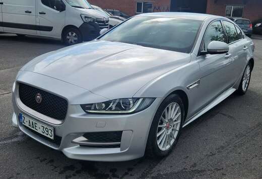 Jaguar XE 2.0 D E-Performance Business Ed.R-Sport