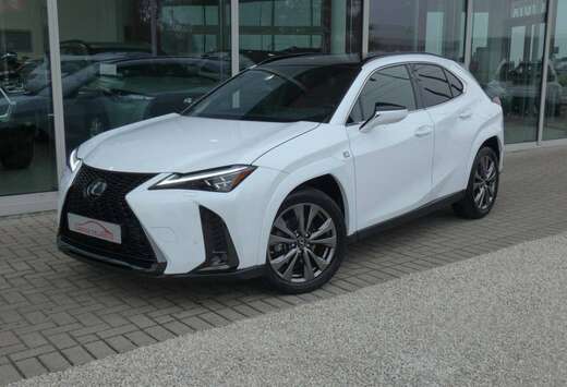 Lexus F-SPORT LINE +LEDER +Mark Levinson +360Camera + ...