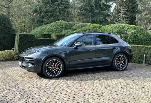 Porsche GTS 2.9 V6 BiTurbo PDK