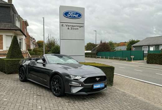 Ford Mustang Convertible 2.3 EcoBoost (EU6.2)