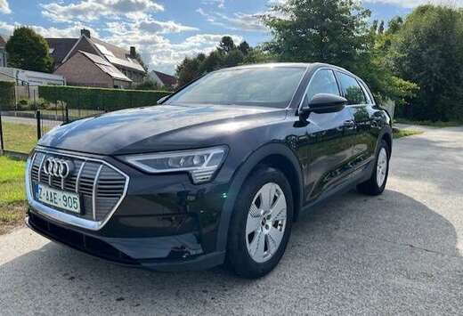 Audi e-tron 55 quattro advanced *Navi*Cam*Leder*BTW i ...