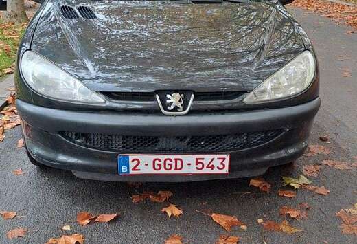 Peugeot 206 75 Petit Filou