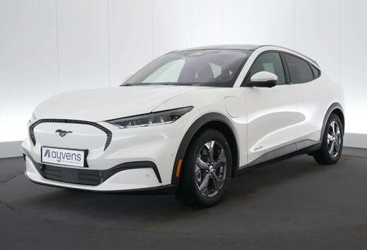 Ford 76 kWh RWD Standard Range Technology+ LEDER/CUIR ...