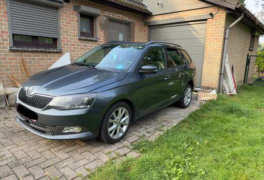 Skoda SW 1.4 CR TDi Style DSG probleme fap