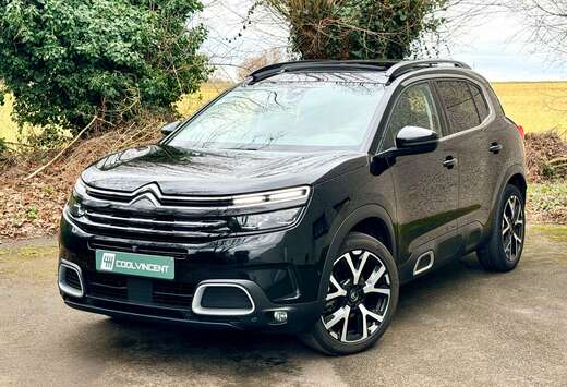 Citroen Business Lounge // AUTOMATIQUE // FULL FULLOP ...